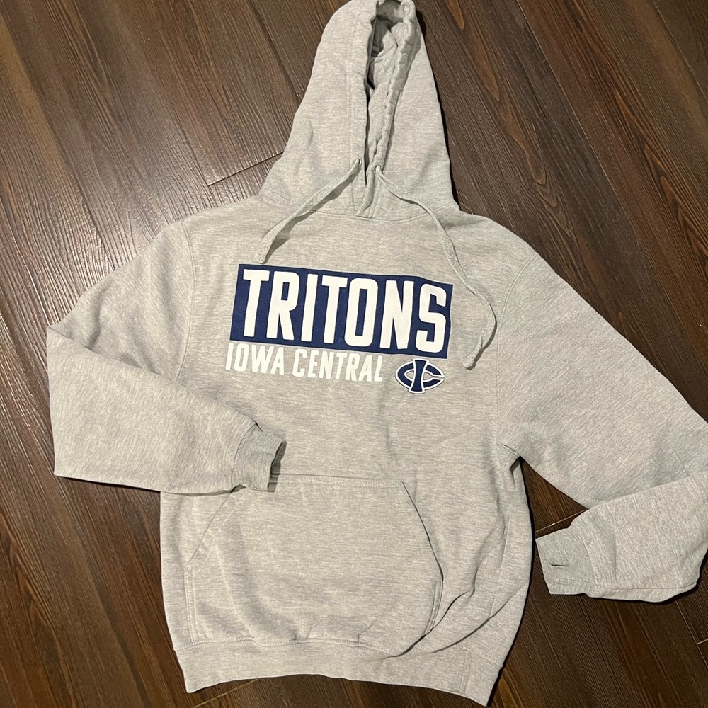 Champion Grey Tritons Hoodie